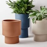 Bishop Earthernware