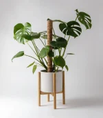 Coco Coir Pole - Image 2