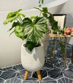 Honeycomb Style - Image 6