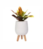 Honeycomb Style - Image 5